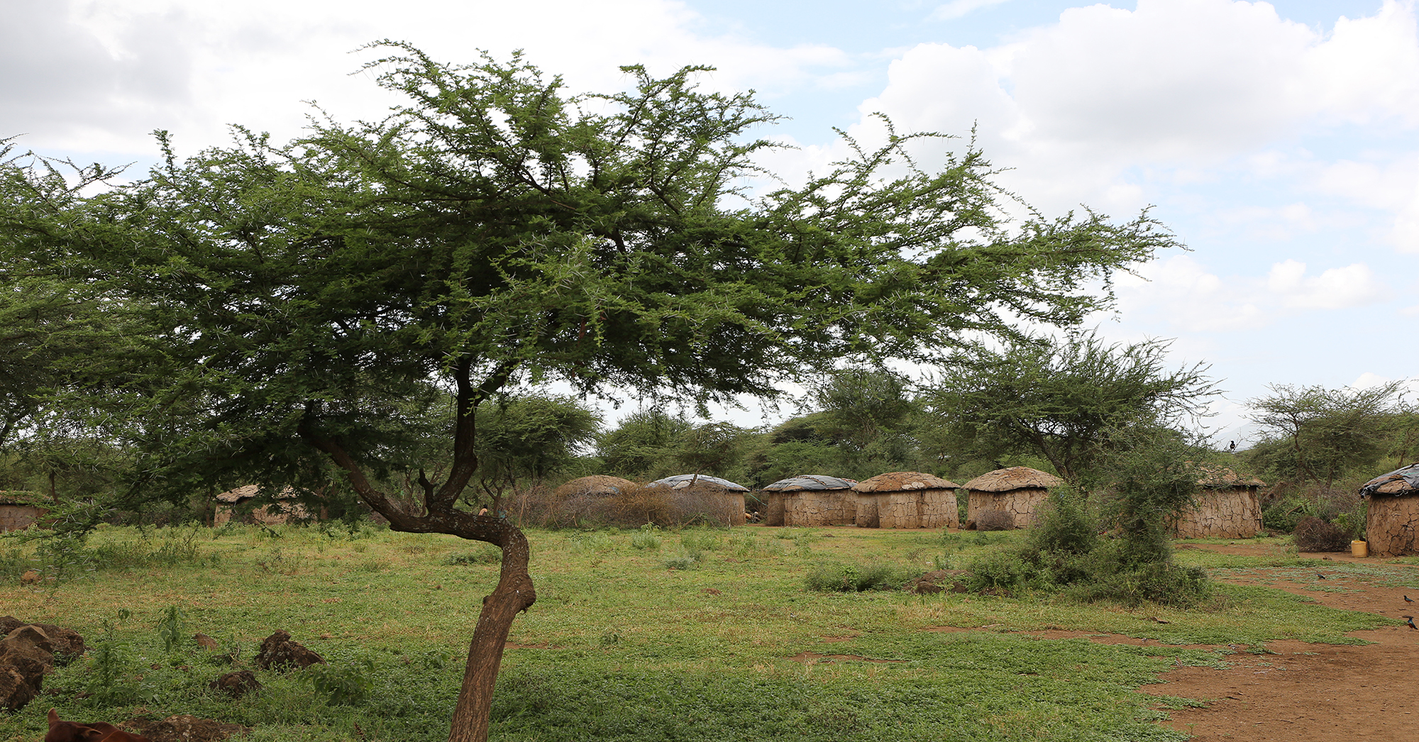 Kenia droogte