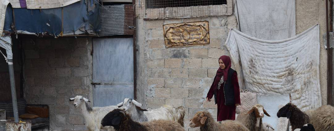 Malak uit Syrië