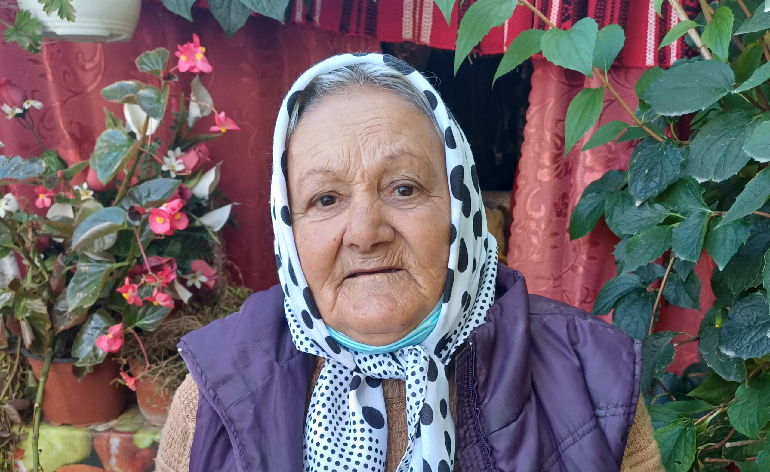 Hortentia Roemenië
