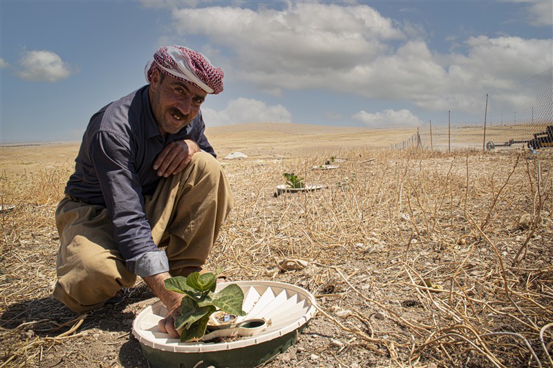 Irak Waterboxx planten groeien