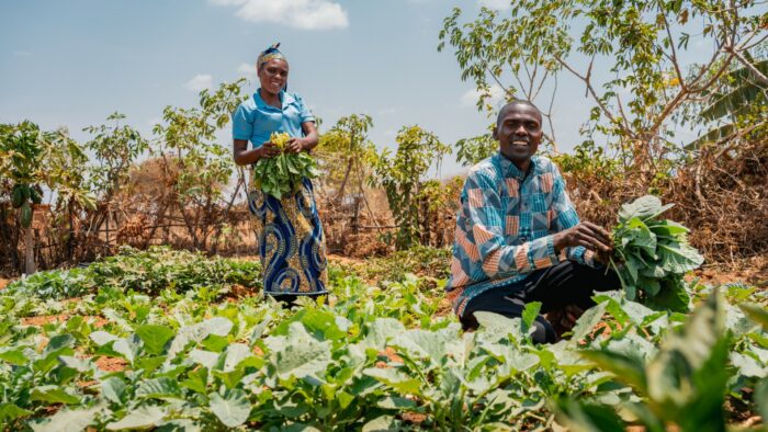 Boeren tanzania PiP project