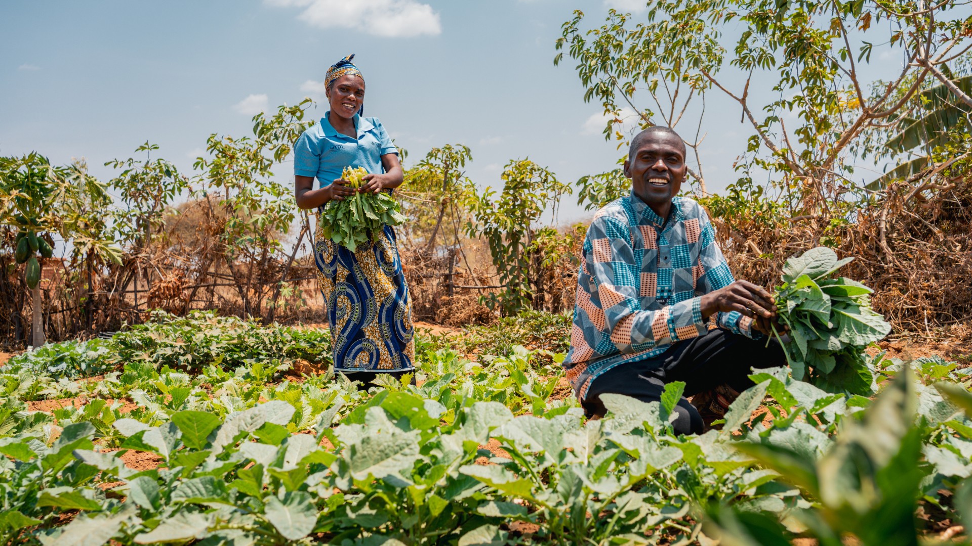 Boeren tanzania PiP project