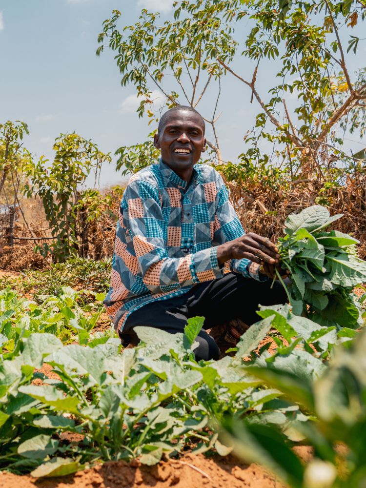 Tanzaniaanse boeren werken op een akker