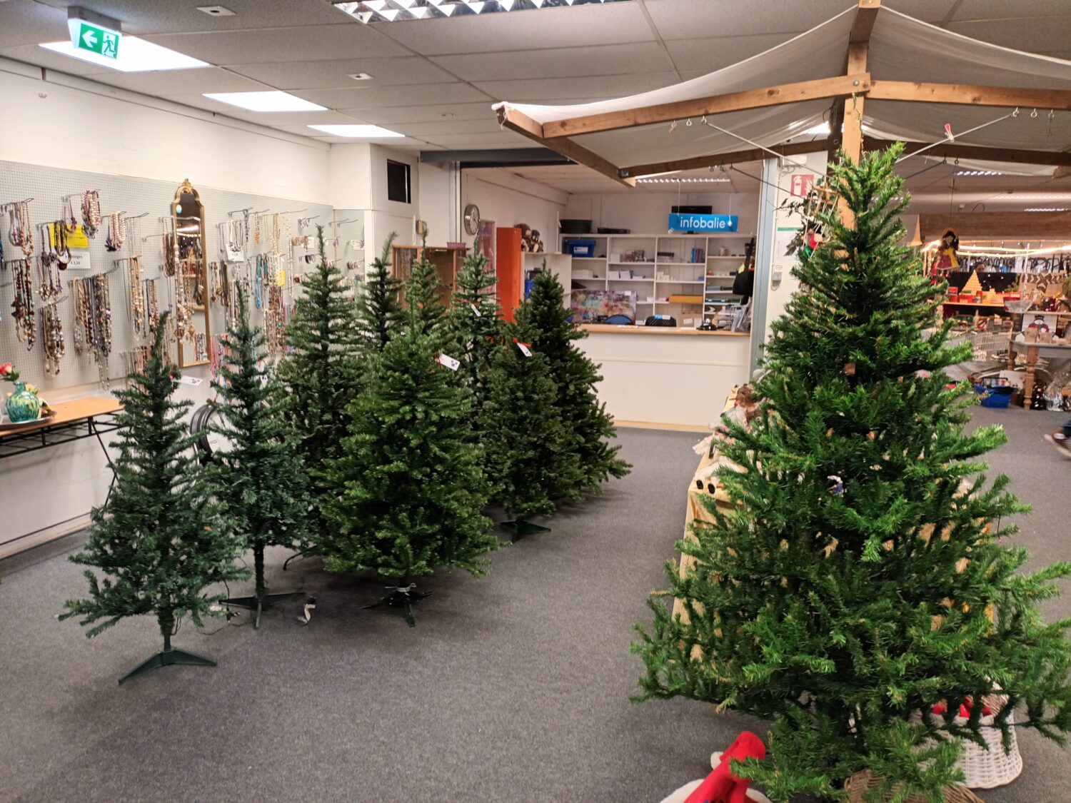 Verspreid kerstbomen in verschillende maten in een winkelpand, klaar om te kopen voor de feestdagen.