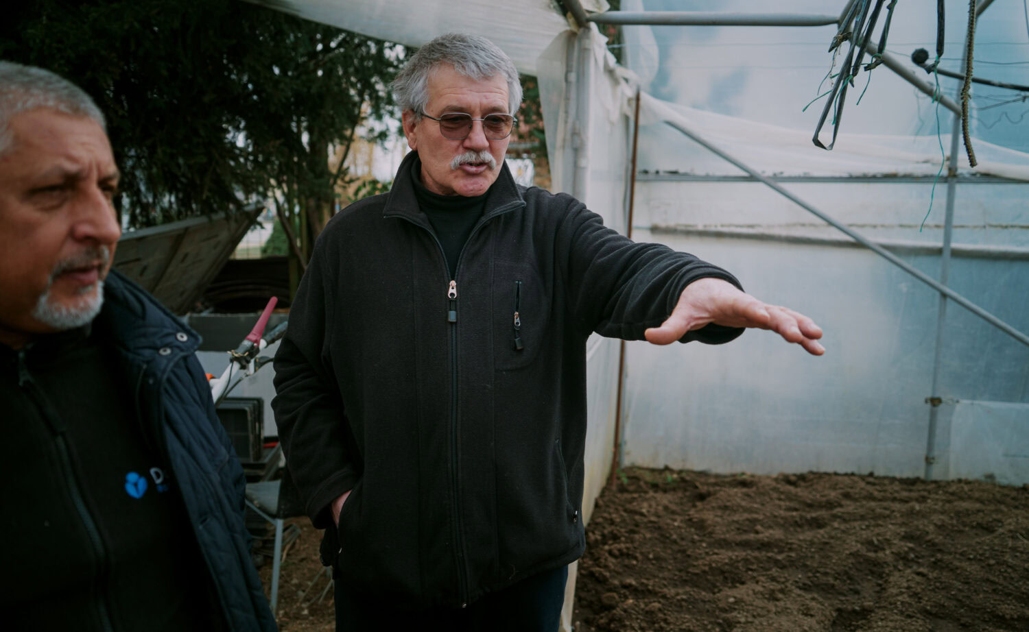 Man uitlegt plantage in kas op tuinbouwbedrijf.