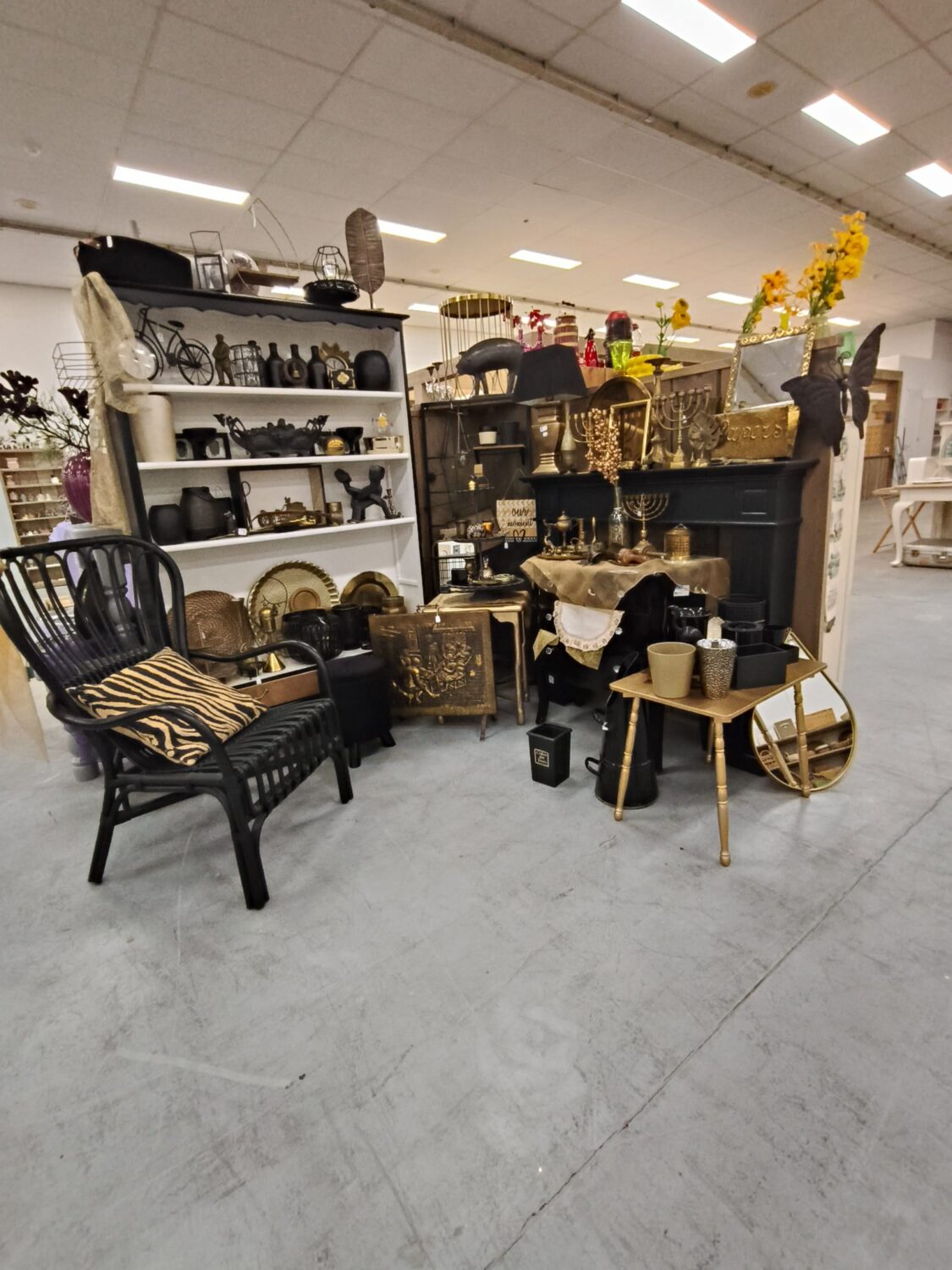 Een overzicht van vintage meubels, decoraties en accessoires in een tweedehandswinkel, geschikt voor interieurstyling en antiekverzamelaars.