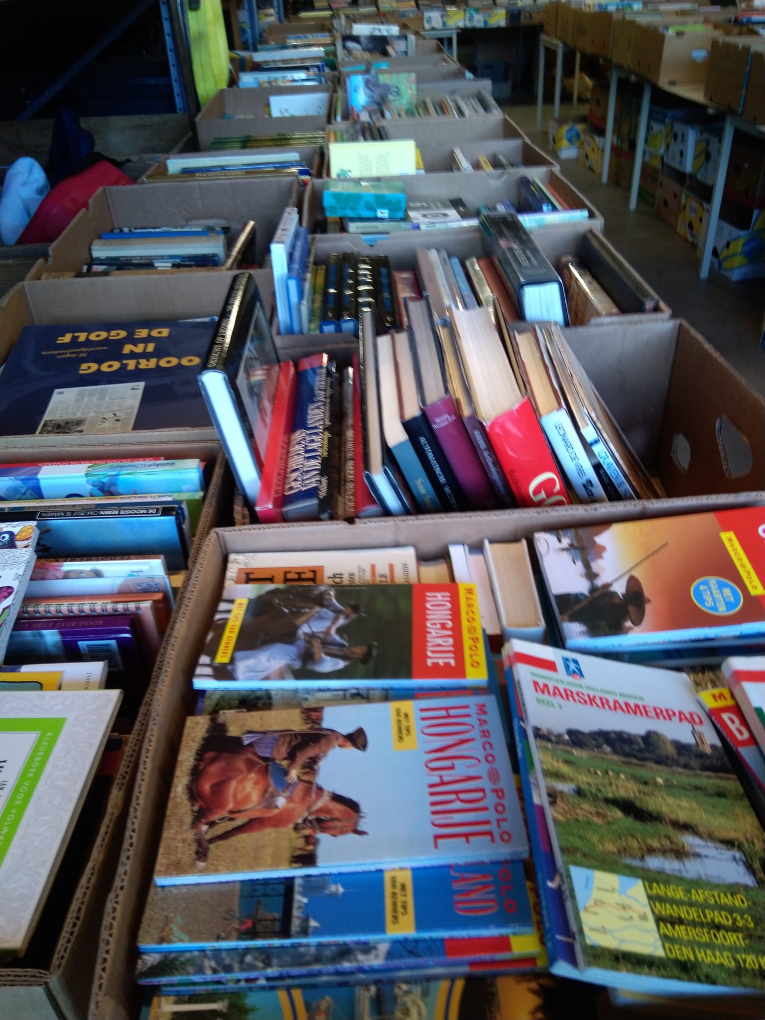 Een overzicht van boeken en tijdschriften in een winkel of bibliotheek, klaar voor verkoop of uitlening.