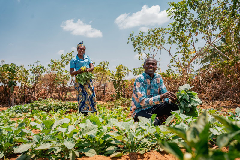 Een man en een vrouw werken samen in een tuin in Tanzania, omgeven door groene planten en struiken, onder een heldere blauwe hemel.