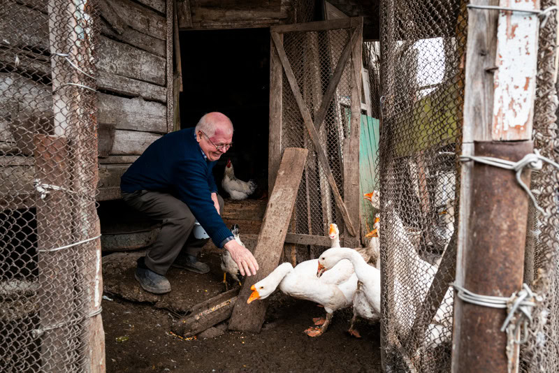 Een man verzorgt eenden in een eenvoudige houten stal op een boerderij in Moldavië, met een focus op duurzame landbouw en lokale voedselproductie.