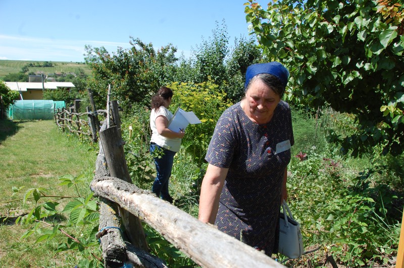 Een vrouw plukt fruit in een tuin in Moldavië, met een andere vrouw die aantekeningen maakt op de achtergrond, omgeven door groene planten en een landelijke omgeving.