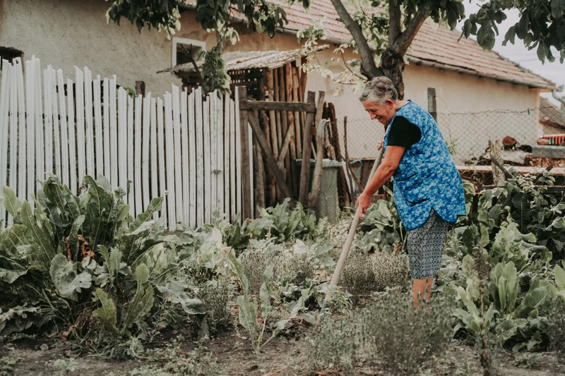 Een oudere vrouw die in haar tuin werkt met een schop, omringd door groene planten en een houten schutting, in een landelijke omgeving in Roemenië.