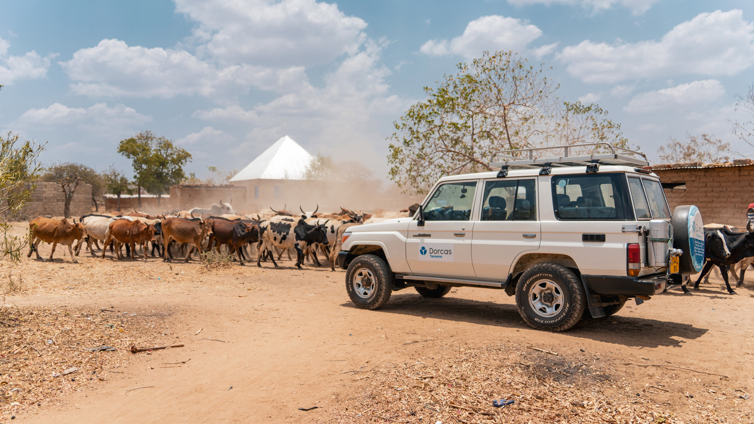 Een 4x4 voertuig met Dorcas-logo op een stoffige weg, omringd door koeien en een dorpslandschap, illustrerend hoe Dorcas lokale gemeenschappen ondersteunt en hun aanpak.