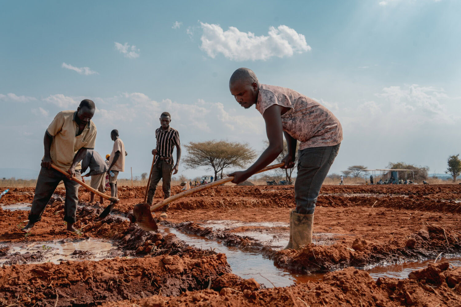 Een groep boeren plant rijst op droog, uitgedroogd land onder een heldere hemel, illustrerend de impact van klimaatverandering op landbouw in Afrika.
