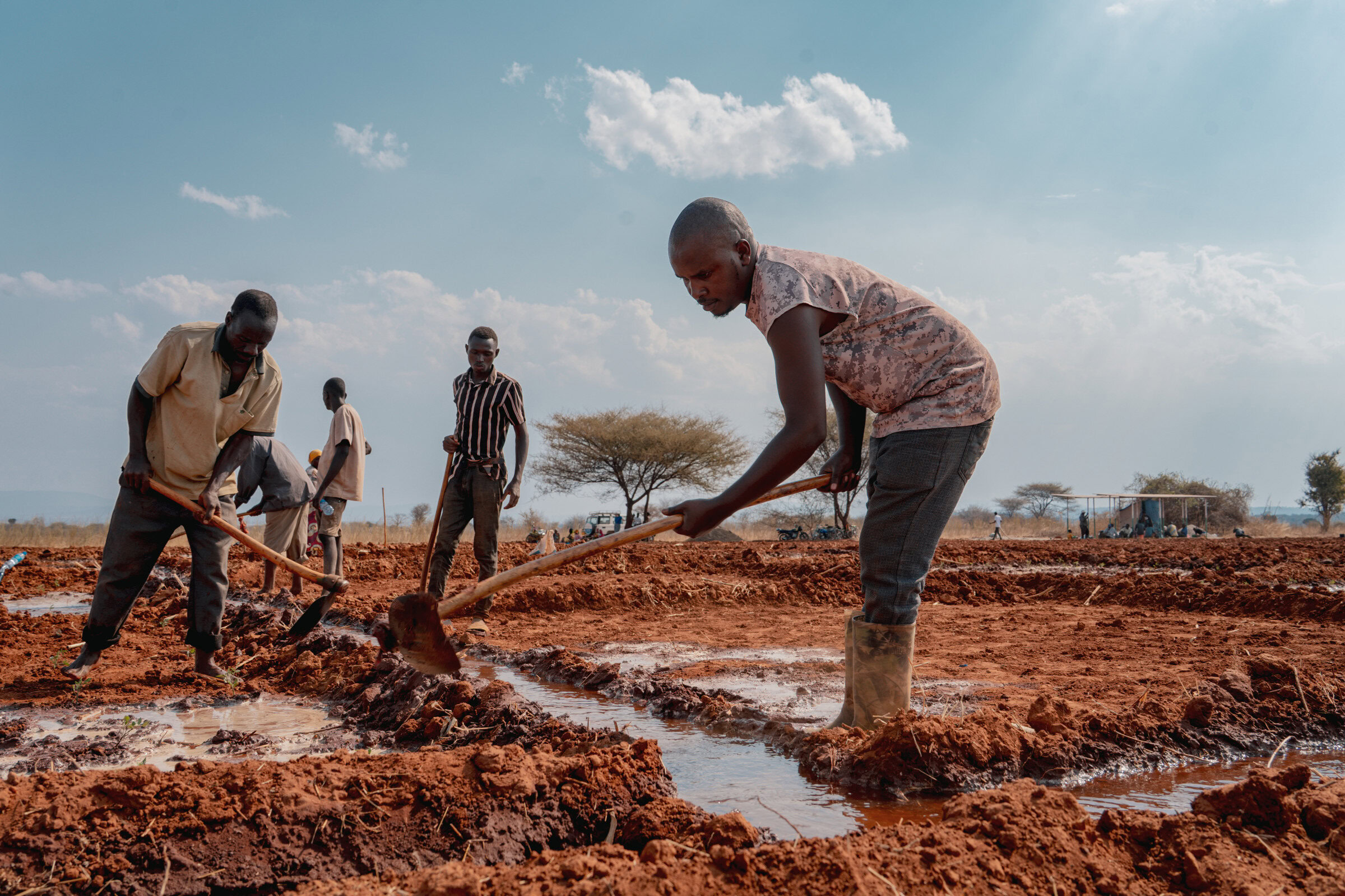 Een groep boeren plant rijst op droog, uitgedroogd land onder een heldere hemel, illustrerend de impact van klimaatverandering op landbouw in Afrika.
