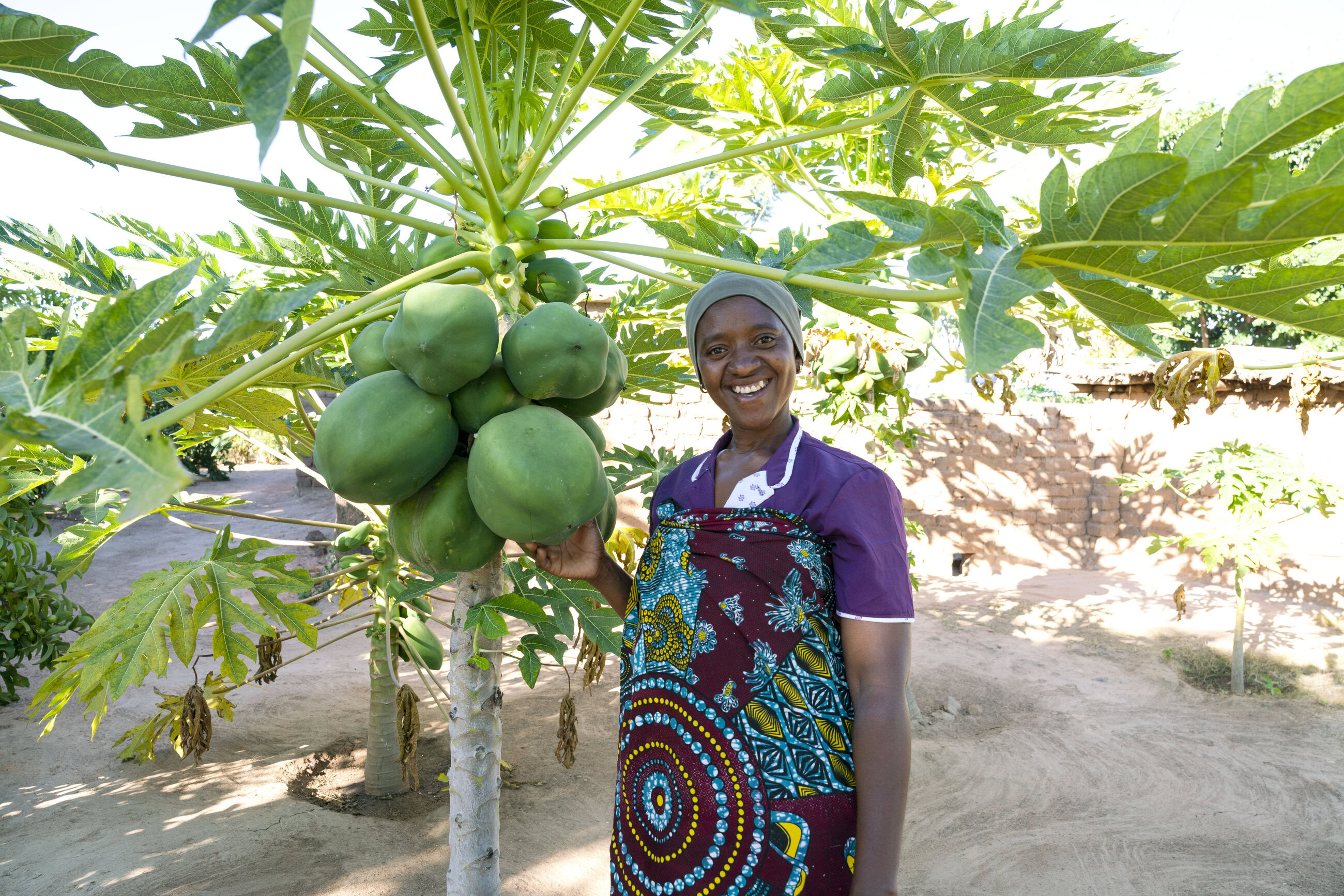 Vrouw in Tanzania poseert trots naast een rijpe papaya aan een boom, omgeven door groene bladeren, onder een heldere hemel.