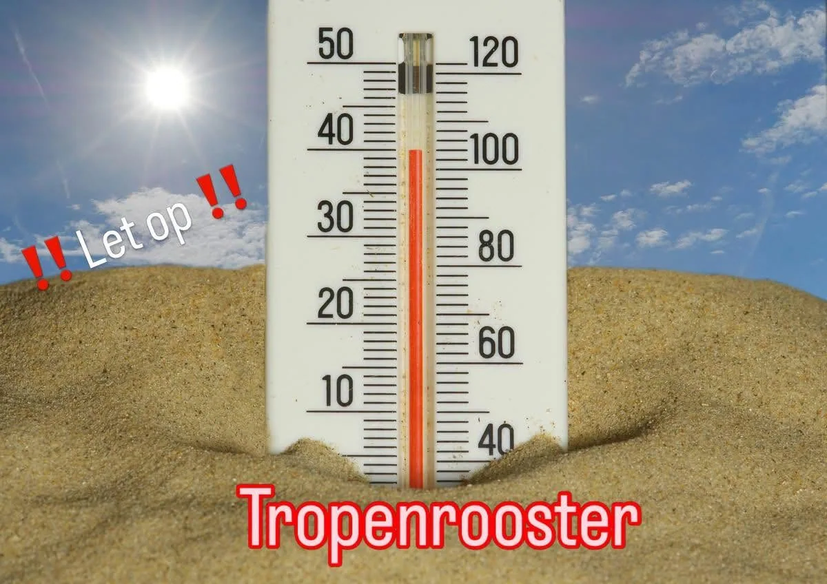 Thermometer in zand met hoge temperatuur, zonnige dag, waarschuwing 'Let op!!' en 'Tropenrooster' voor hittegolven en klimaatverandering, relevant voor humanitaire hulp en armoedebestrijding.