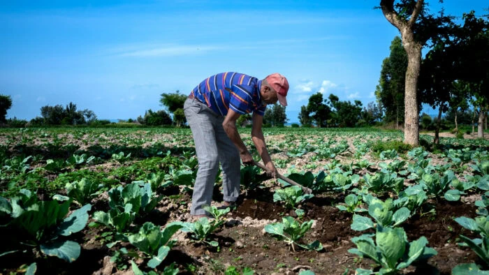 Man plant jonge gewassen op een veld in een ontwikkelingsland, symboliseert humanitaire hulp en armoedebestrijding door Dorcas in Oost-Afrika.