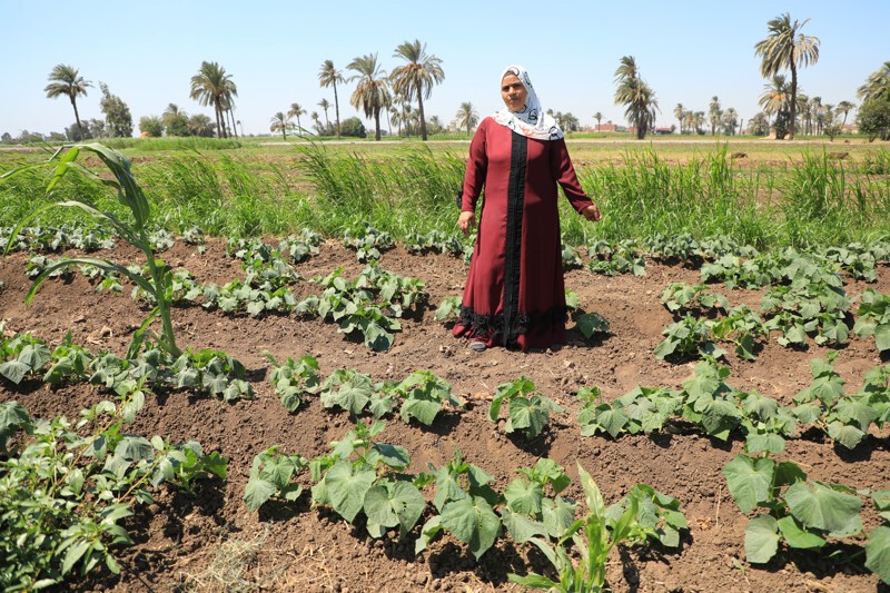 Vrouw in een tuin met groenteplanten, omgeven door palmbomen, in een ontwikkelingsland, symboliseert humanitaire hulp en armoedebestrijding door Dorcas.
