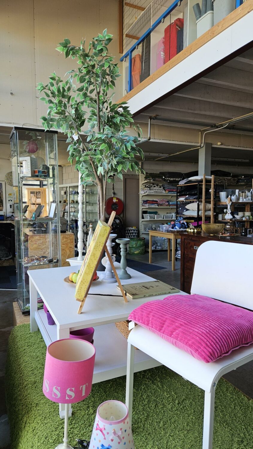 Interieur van een winkel met een grote groene plant, een witte tafel met een geel bord, een roze lamp en een witte stoel met roze kussen, in een ruimte met houten en metalen elementen.