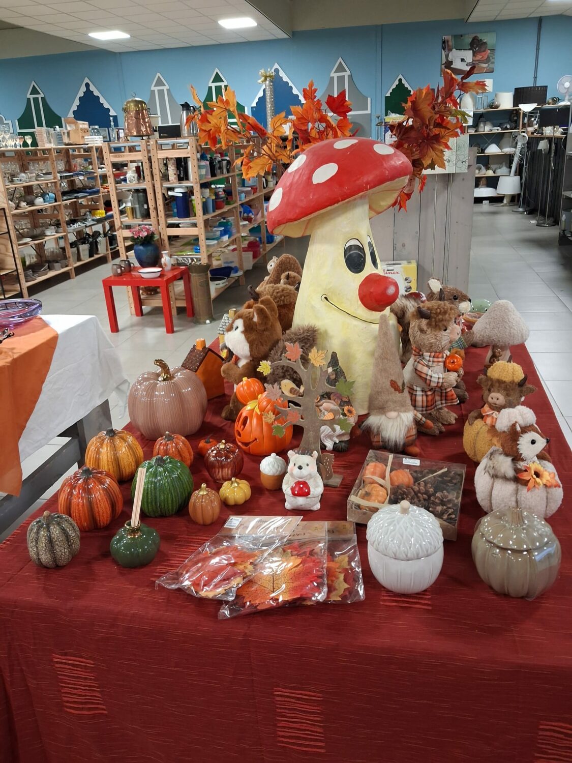 Foto