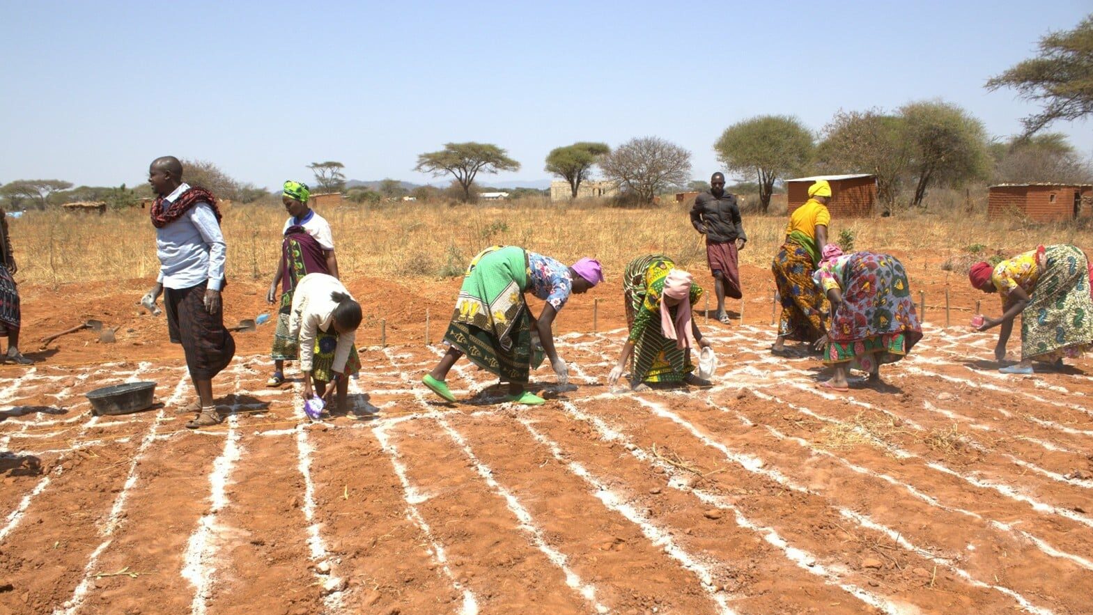 Mensen planten gewassen in een droog, uitgestrekt landschap met enkele bomen, als onderdeel van humanitaire hulp en armoedebestrijding in Oost-Afrika.