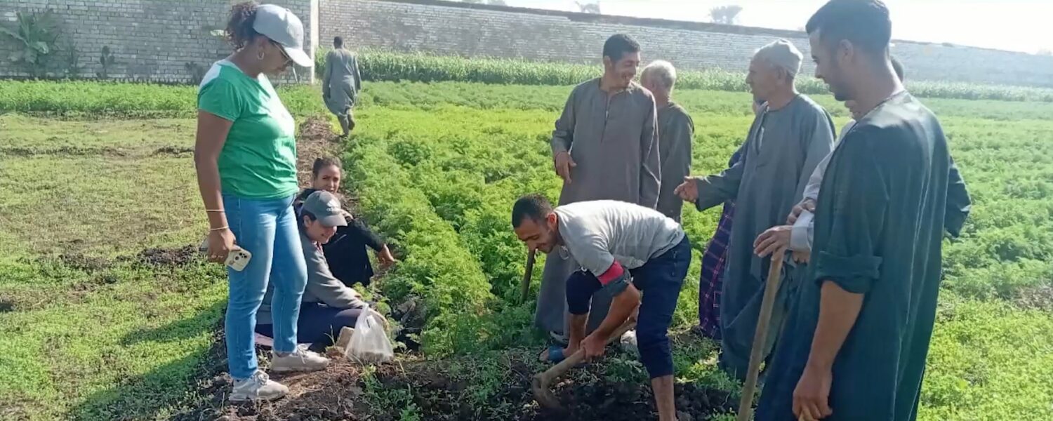 Dankbare gemeenschap werkt mee aan voedselgewassen en tuinaaltjes in een buitenplaats; vrijwilligers helpen bij inspectie en planten. Dorcas ondersteunt noodhulp en armoedebestrijding in Oost-Europa,?.