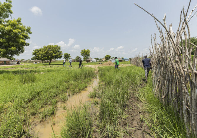 Groepsbezoek aan een Afrikaans dorp met traditionele hutten, groene velden en een hek van takken onder een heldere blauwe lucht.