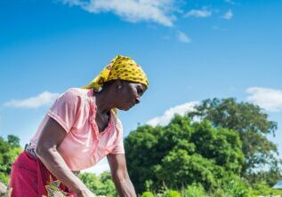 Eliza Mozambique column Agnes Column Agnes Kroese