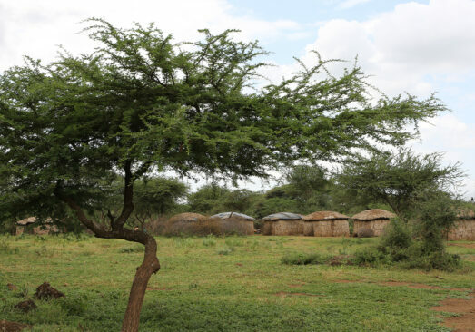 Kenia droogte