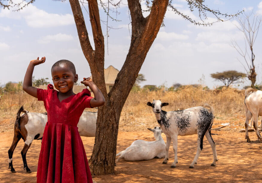 Column Vrede Tanzania